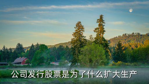 公司为什么增发这么多股票，为什么股票发行频繁