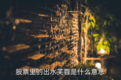 股票里的出水芙蓉是什么意思