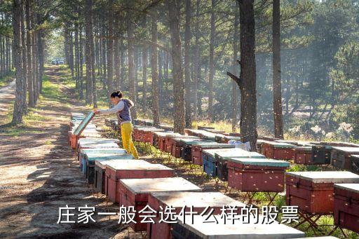 庄家一般会选什么样的股票