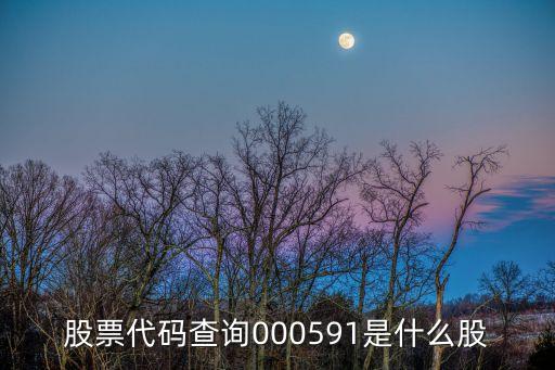 股票代码查询000591是什么股