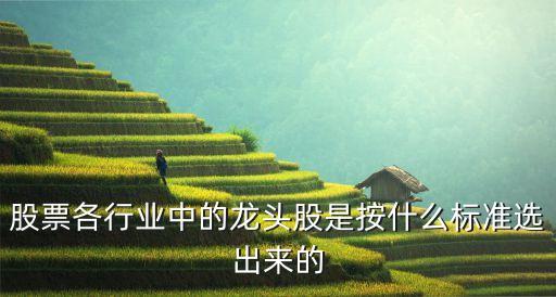 股票各行业中的龙头股是按什么标准选出来的