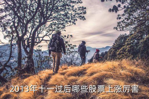 2013年十一过后哪些股票上涨厉害