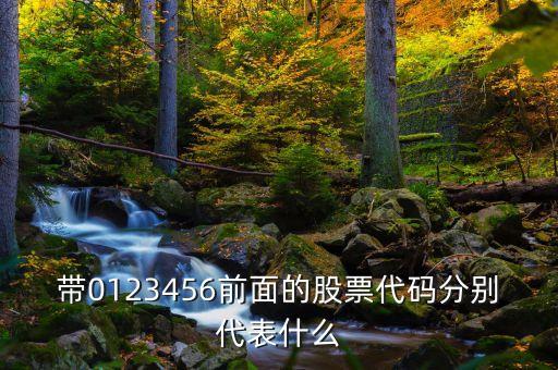 带0123456前面的股票代码分别代表什么