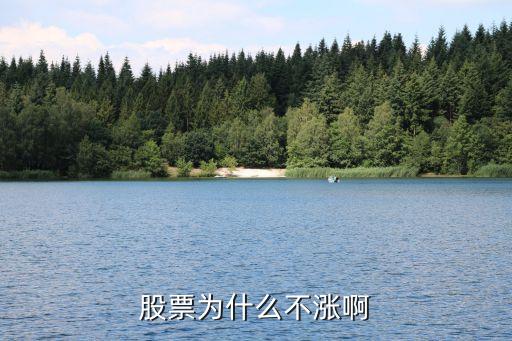 股票为什么不涨啊