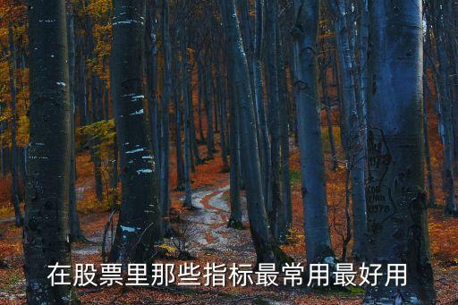 在股票里那些指标最常用最好用