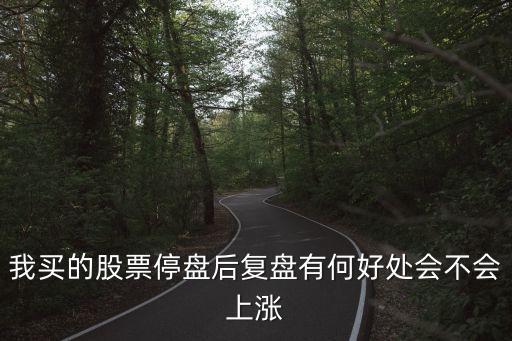 我买的股票停盘后复盘有何好处会不会上涨