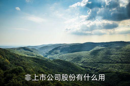 非上市公司股份有什么用