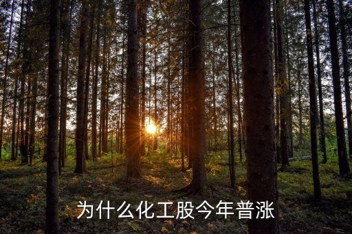 为什么化工股今年普涨