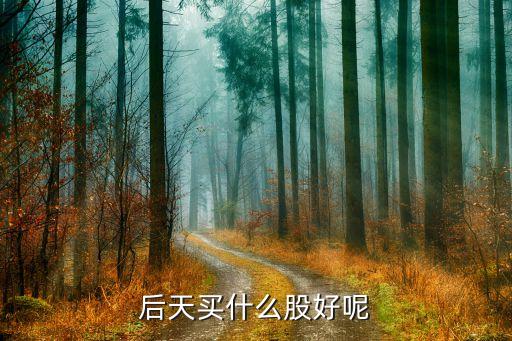 最后一天能买什么股票，年底最后一天买股票好不好
