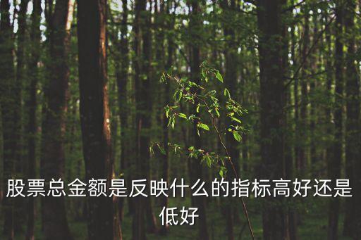 股票总金额是反映什么的指标高好还是低好
