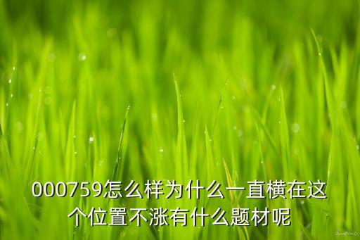 000759怎么样为什么一直横在这个位置不涨有什么题材呢