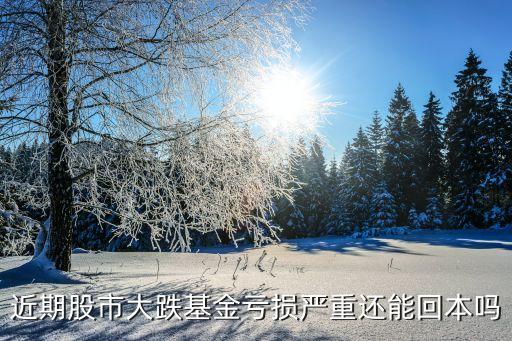 近期股市大跌基金亏损严重还能回本吗