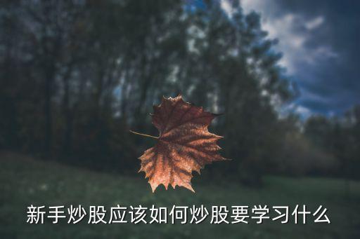新手炒股应该如何炒股要学习什么