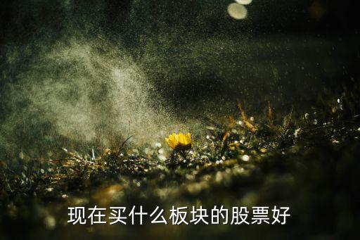 现在买什么板块的股票好