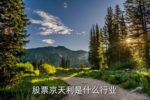 股票京天利是什么行业
