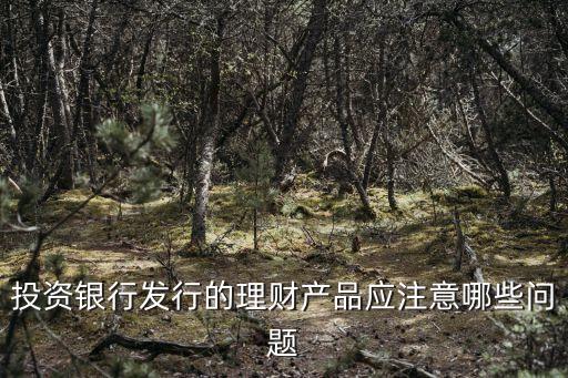 银行股票投资注意什么风险，投资银行发行的理财产品应注意哪些问题
