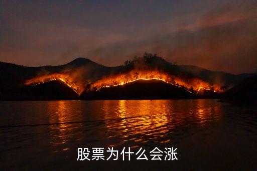 股票为什么会涨