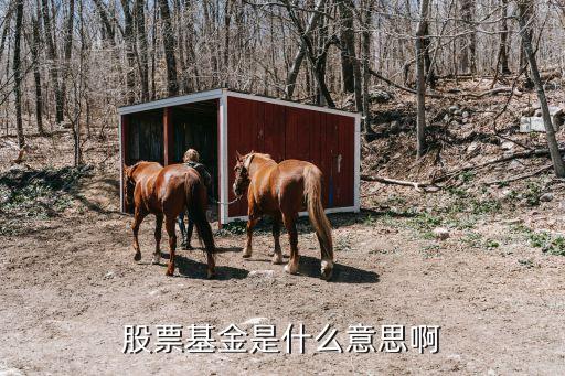 其他股票基金是什么意思，股票基金是什么意思