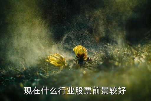现在什么行业股票前景较好