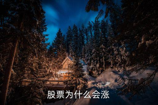 股票为什么股价这么高呢，为什么股票会涨