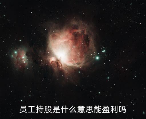 员工持股是什么意思能盈利吗