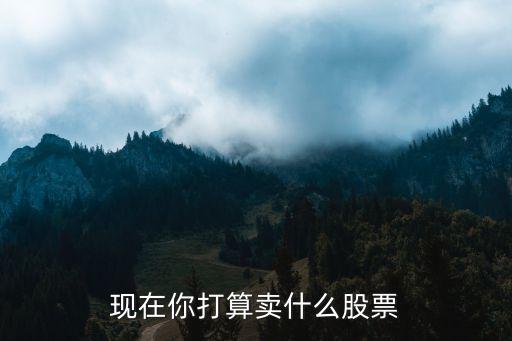 现在你打算卖什么股票