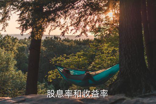 股息率和收益率