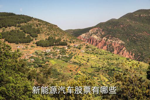 什么人关注新能源汽车股票，新能源汽车的龙头股