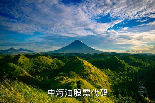 中国海油股票跟什么板块，中海油股票代码