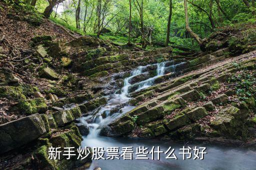 想买股票不知道看什么书，新手炒股票看些什么书好