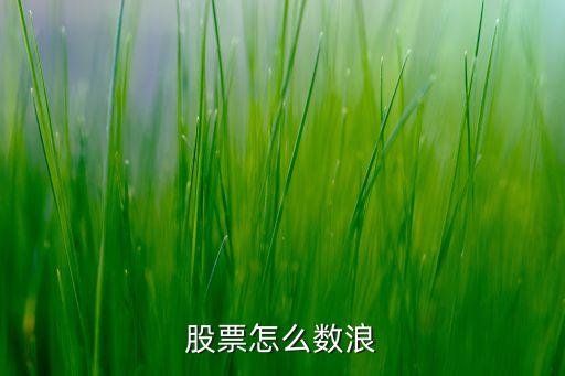 股票怎么数浪