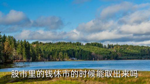 股市里的钱休市的时候能取出来吗