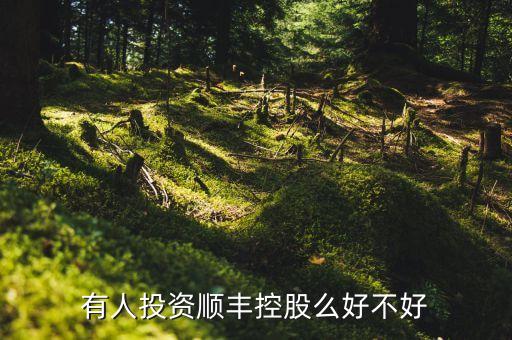 有人投资顺丰控股么好不好