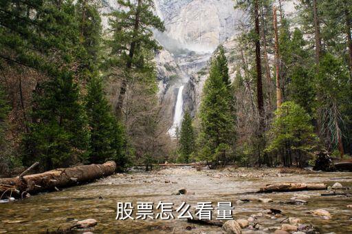 股票怎么看量