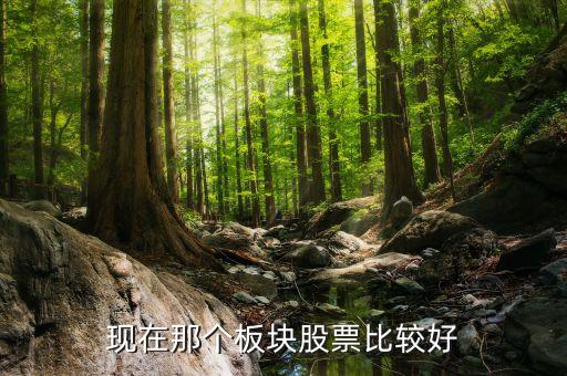 现在那个板块股票比较好