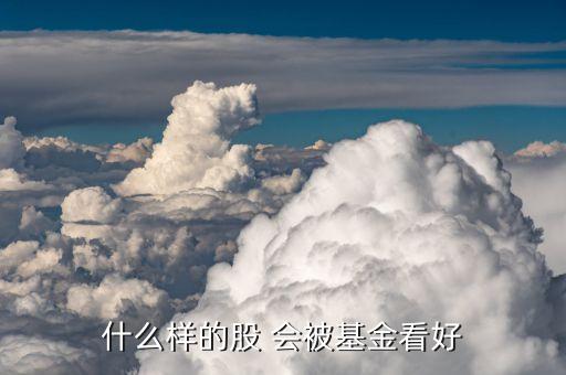 大资金一般喜欢什么股票，什么样的股 会被基金看好