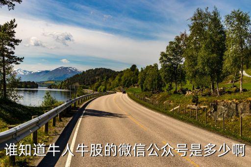 谁知道牛人牛股的微信公众号是多少啊