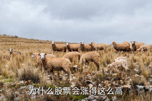 为什么股票会涨得这么高