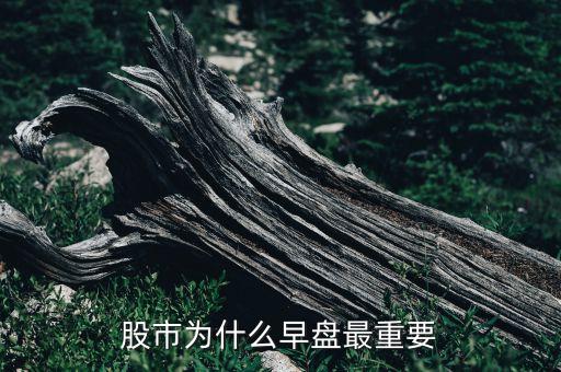 为什么买早盘强势的股票，为什么买股票总买在高点上