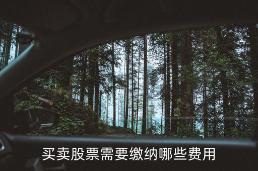 买卖股票需要缴纳哪些费用