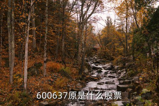 600637原是什么股票