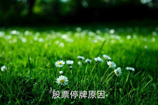 股票停牌原因