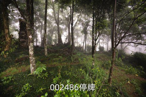 股票嘉麟杰为什么停牌，不是最多停牌3个月吗