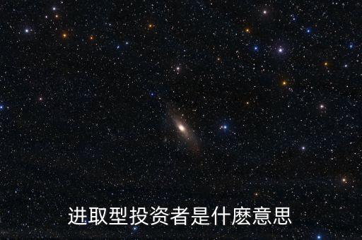 进取型投资者是什麽意思