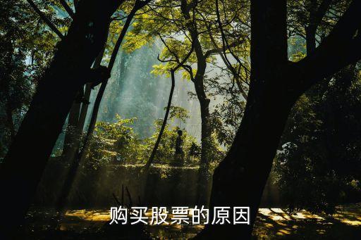 为什么干财务的喜欢买股票，购买股票的原因
