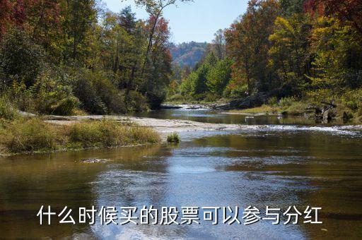 公司股票分红什么时候买入，股东如果享受公司分派的股利最迟应在什么时候购买股票