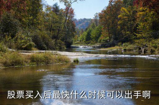 股票买入后什么时候能成交，股票买入多长时间能成交