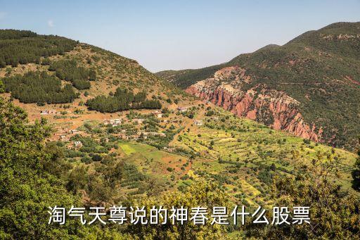 淘气天尊说的神春是什么股票