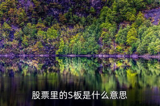股票里的S板是什么意思