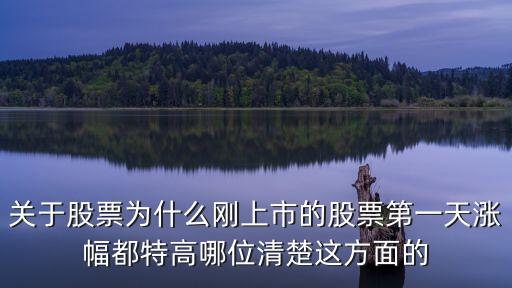 关于股票为什么刚上市的股票第一天涨幅都特高哪位清楚这方面的